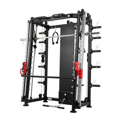  ,   DFC Powergym D822